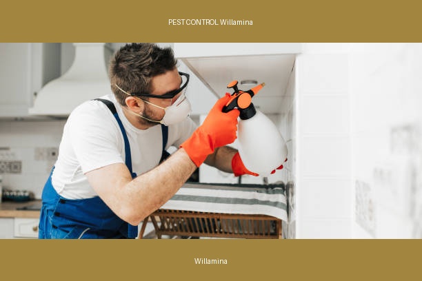 PEST CONTROL Willamina